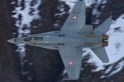060IMG_9741