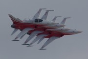 110IMG_9975