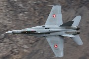 250IMG_0209