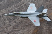 250IMG_0617