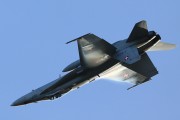 250IMG_1161