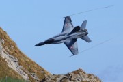 250IMG_1658
