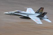250IMG_9806