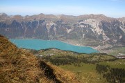 950IMG_1572