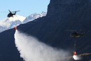 180IMG_3369