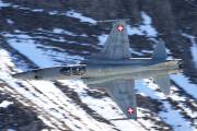 060IMG_5561