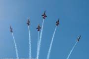 301IMG_8080