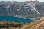 380IMG_8028