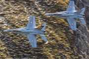 100IMG_0429