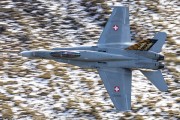 100IMG_0432