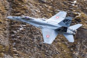 240IMG_1226