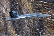240IMG_1392