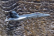 240IMG_1395