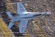 240IMG_1396