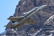 240IMG_1450