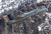 240IMG_1456