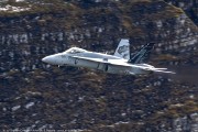 240IMG_1475
