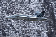 240IMG_1478