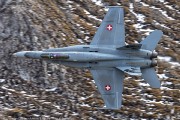 240IMG_1487