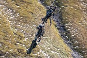 280IMG_1861