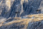 340IMG_1983