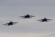 102IMG_3474