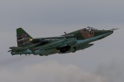 401IMG_3211