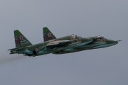 402IMG_3220
