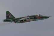 402IMG_3255