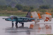 403IMG_3290