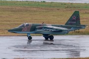 403IMG_3316