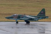 403IMG_3379