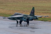 403IMG_3388