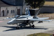 100IMG_4009
