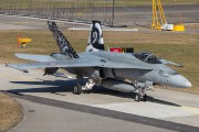 102IMG_4175