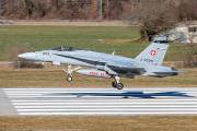 201IMG_4934