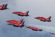 29IMG_2781