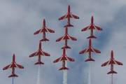 29IMG_2794