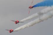 29IMG_2916