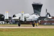 074IMG_8946