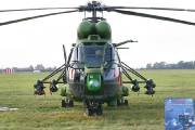 146IMG_9253