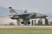 263IMG_9869