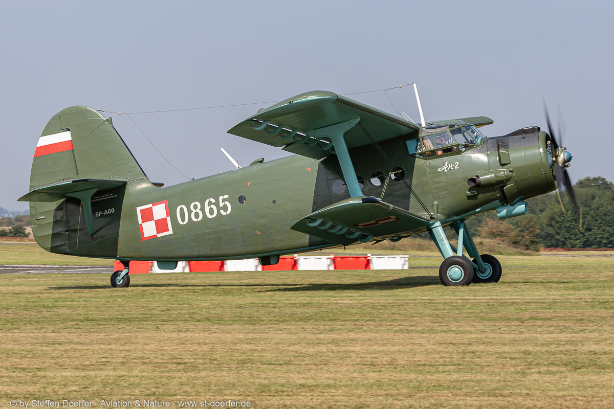 100JH3A8533