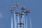 11-03IMG_8955