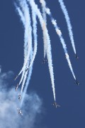 11-03IMG_9088