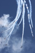 11-03IMG_9093