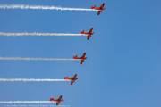 202CAA_3919