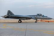 265CAA_5572