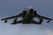 600IMG_6178