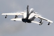 600IMG_6183